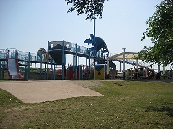 海の中道海浜公園